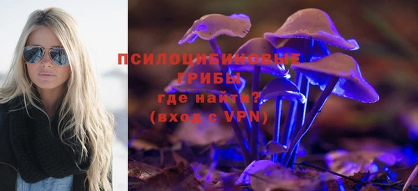 молекула духа Алексеевка