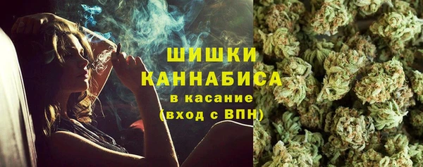 дурь Алзамай