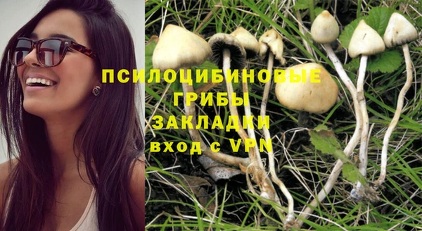молекула духа Алексеевка