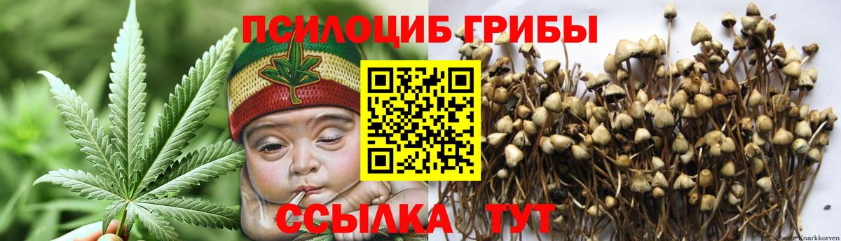 Галлюциногенные грибы Magic Shrooms  где можно купить наркотик  Апатиты  Вход с VPN 