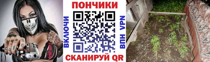 Бошки марихуана гибрид  наркошоп  Апатиты 